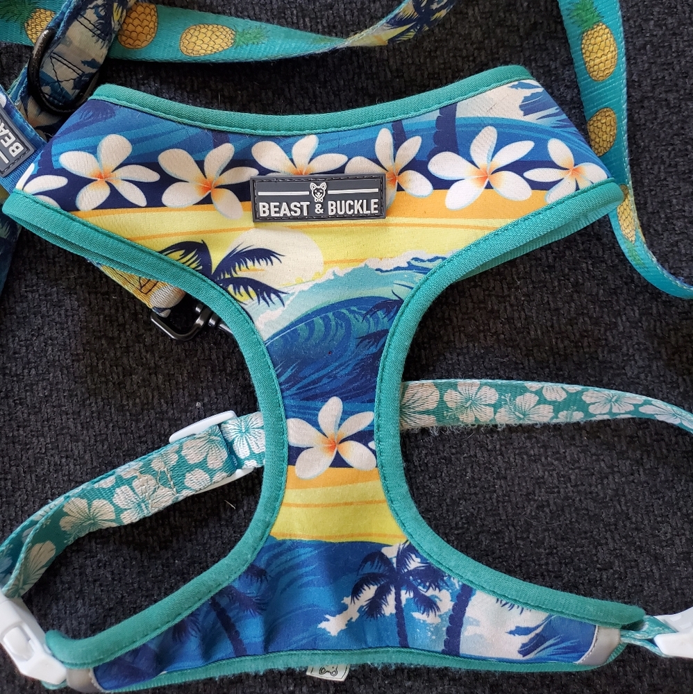 Sold------Dog harness and leash